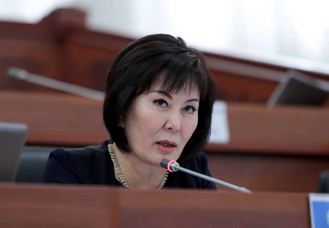 Депутатк Асылбаева назвала троллями кыргызстанцев, раскритиковавших закон «О манипулировании информацией» — Today.kg