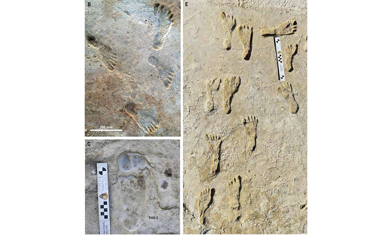 Ученые обнаружили в Северной Америке следы древних людей — Today.kg