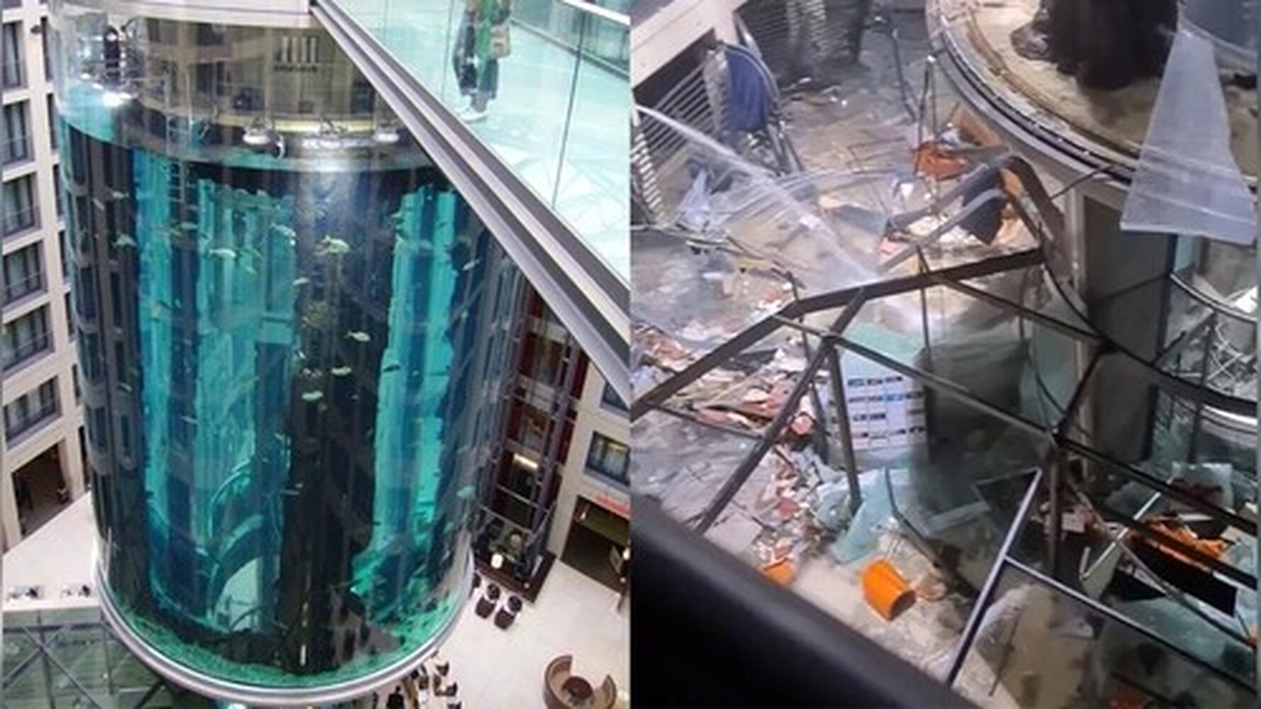 В Берлине лопнул гигантский аквариум на 1 млн литров воды, погибло 1,5 тыс. рыб — Today.kg