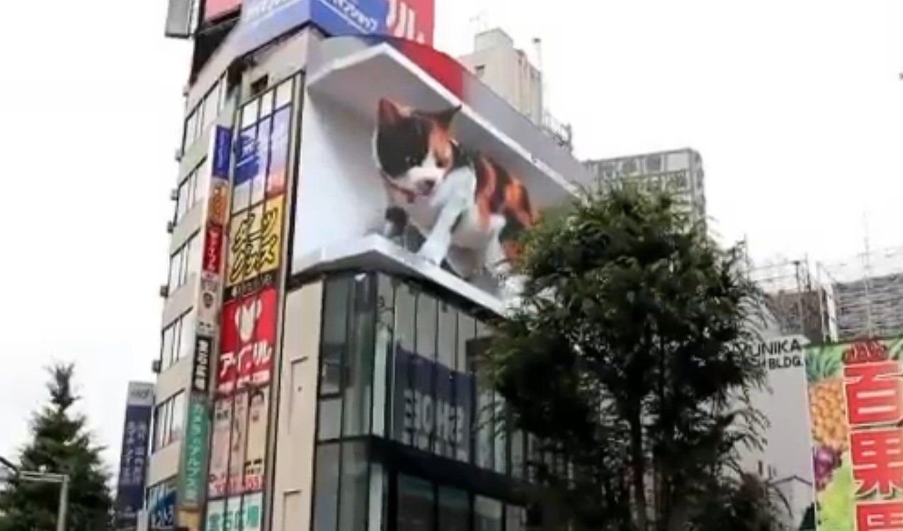 Выглядит как настоящая. В Токио на цифровом щите появилась трехмерная кошка — Today.kg