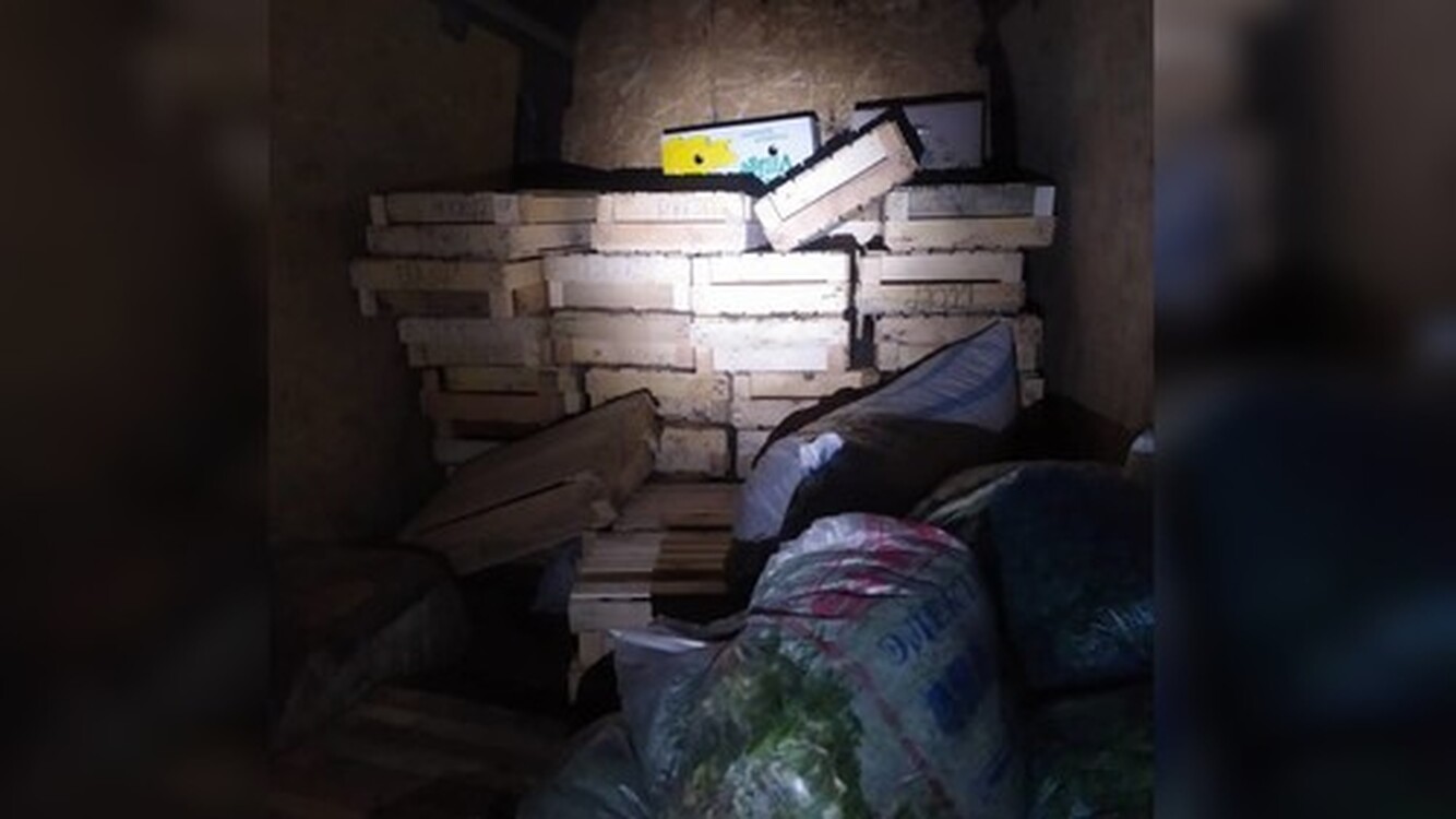 ПС ГКНБ пресекла контрабанду более 200 килограммов овощей из Таджикистана  — Today.kg