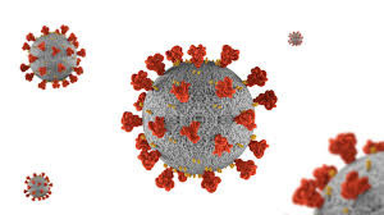 Ученые США обнаружили у коронавируса «зловещие щупальца» — Today.kg