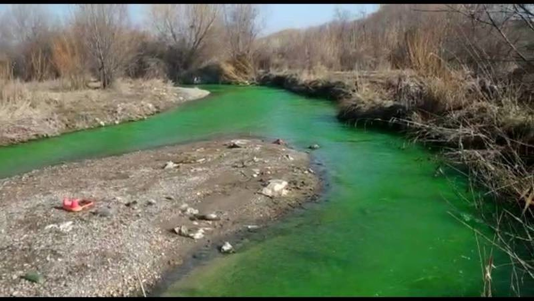 Зеленая вода. Оказалось, что в реку Аламедин сбросили нефтепродукты — Today.kg