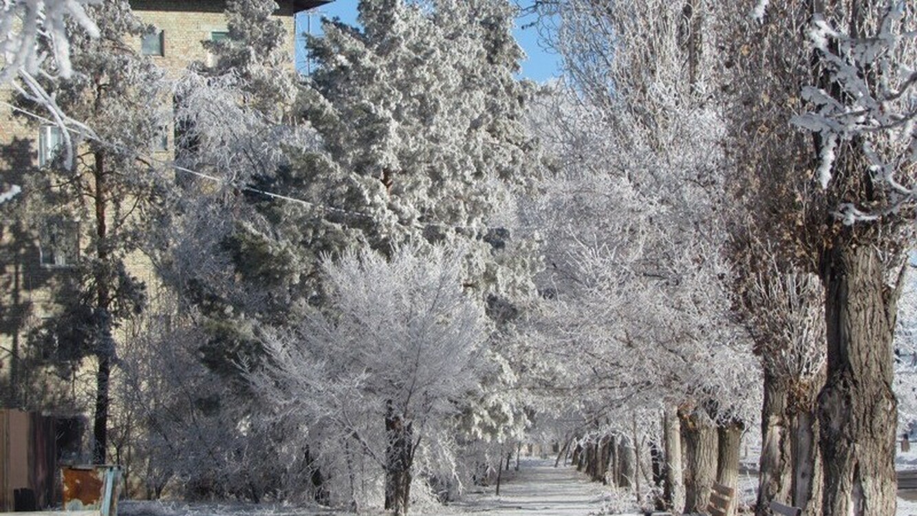 Днем морозы до -11 — прогноз погоды на 5 января — Today.kg