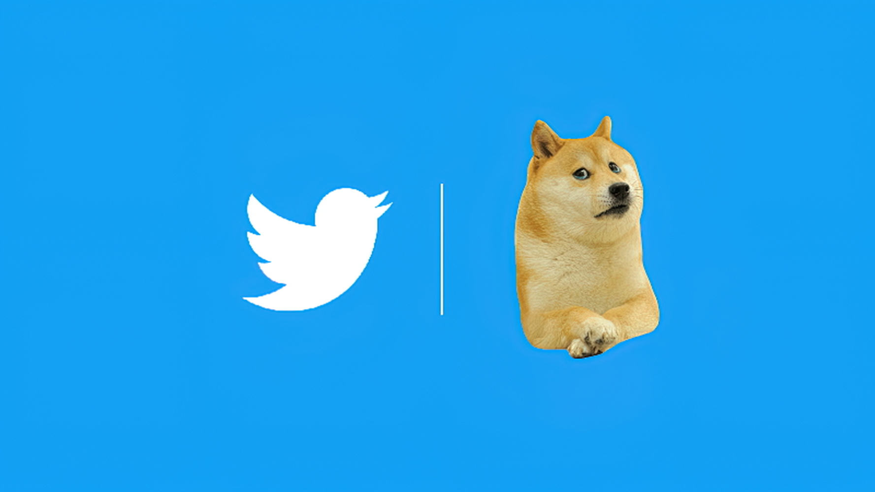 Собака вместо синей птички. Twitter заменил логотип на главной странице сайта — Today.kg