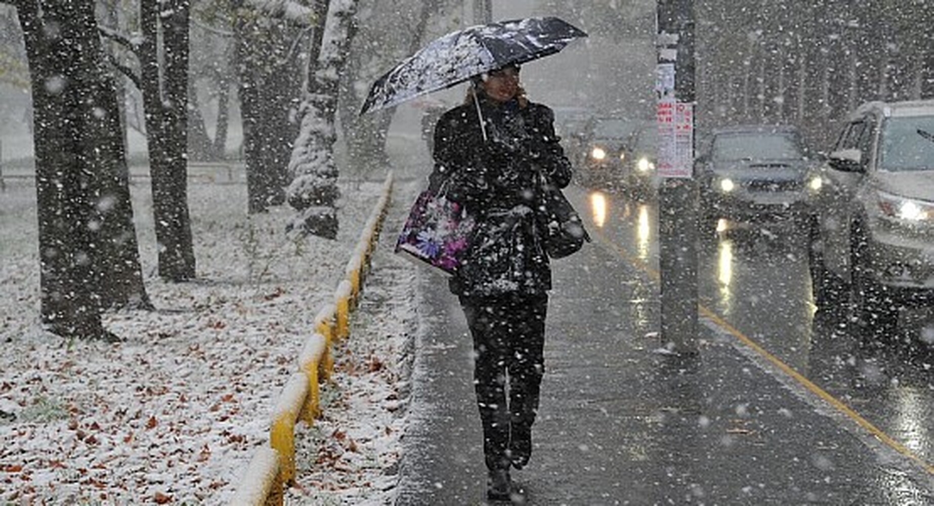 Дождь и снег — погода в Бишкеке 11 марта — Today.kg
