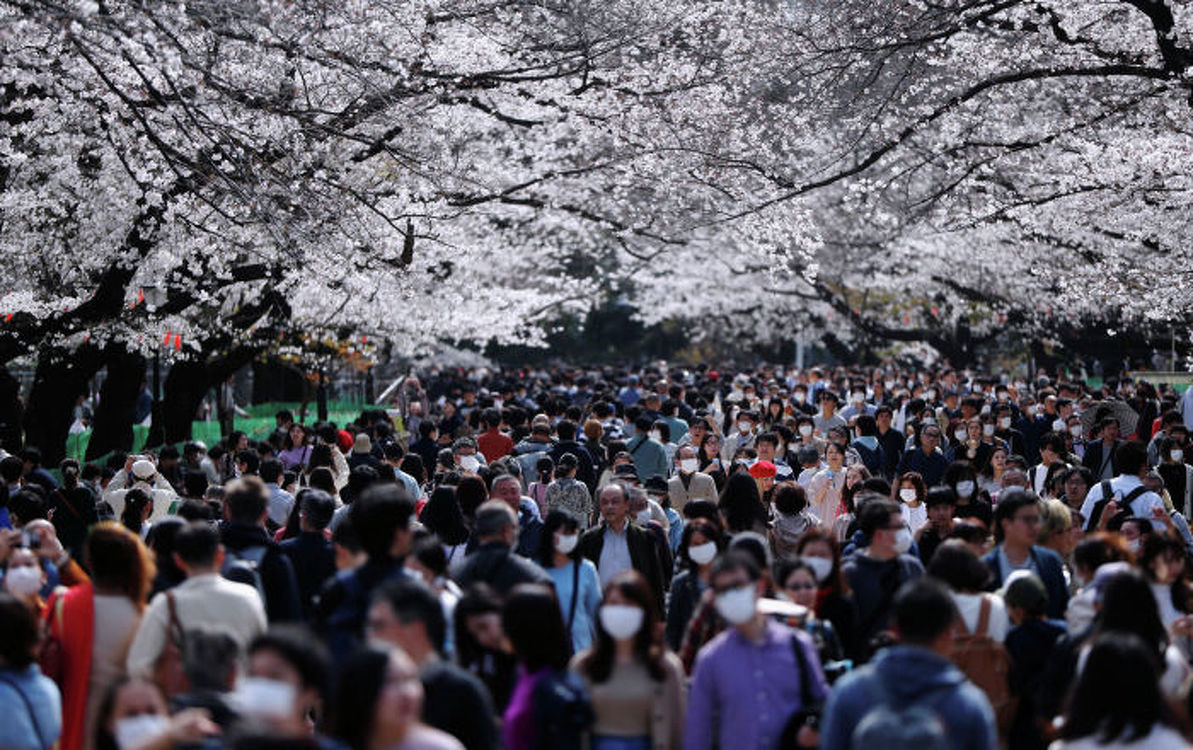 Туристам, посещающим Японию, будут платить до $ 185 за день пребывания — Today.kg
