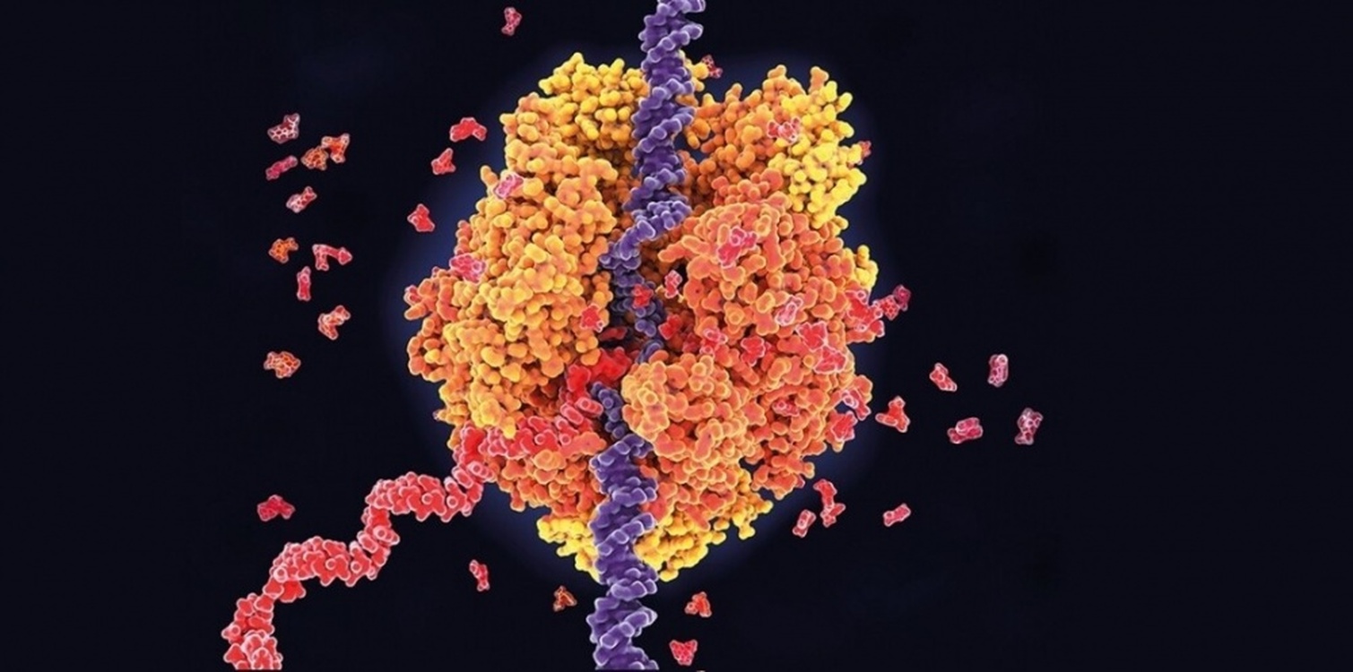 Moderna начала разработку мРНК-вакцин от герпеса, ветряной оспы и рака — Today.kg
