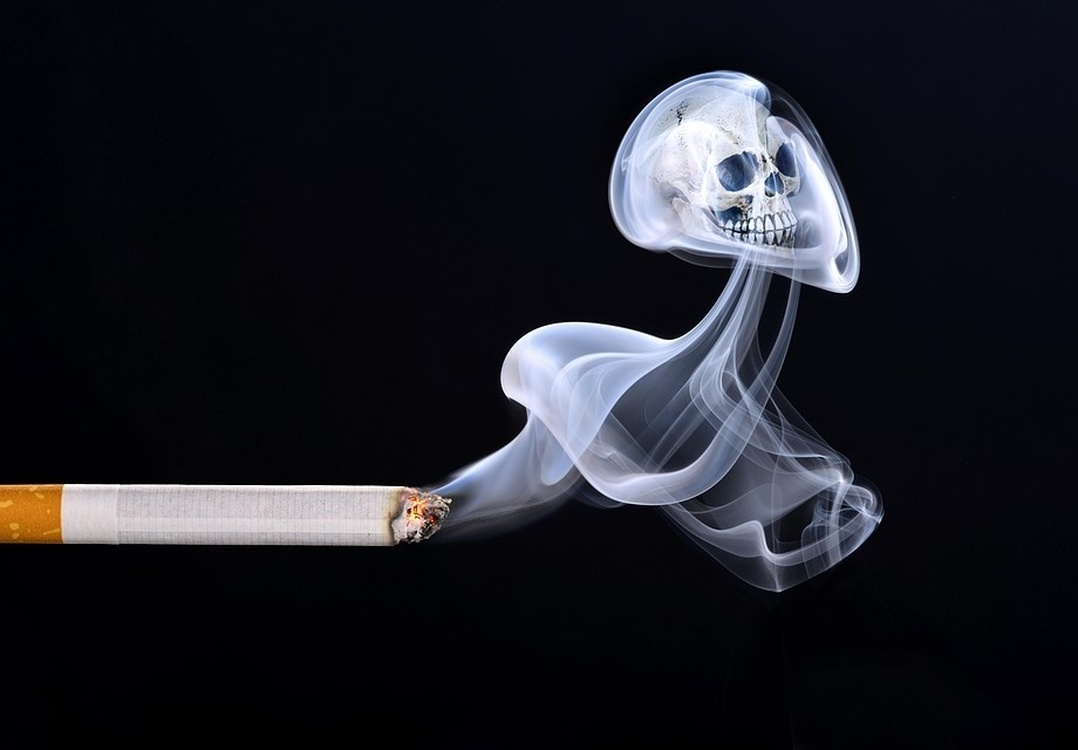 Власти Новой Зеландии введут закон о запрете курения для будущего поколения — Today.kg