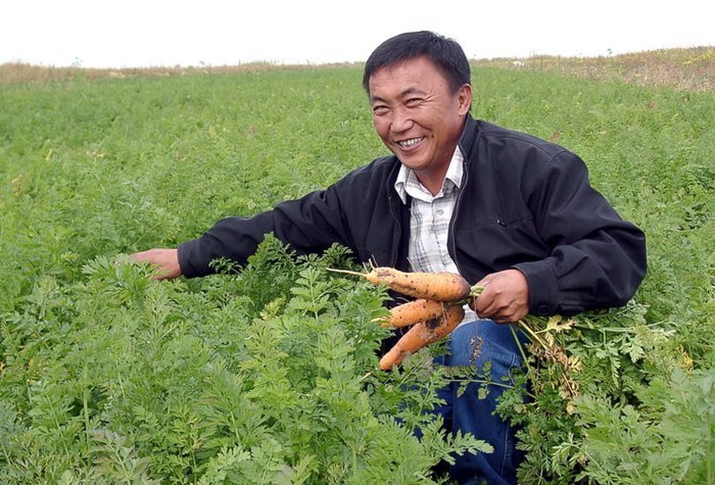 В Кыргызстане запустили проект по льготному финансированию фермеров — Today.kg