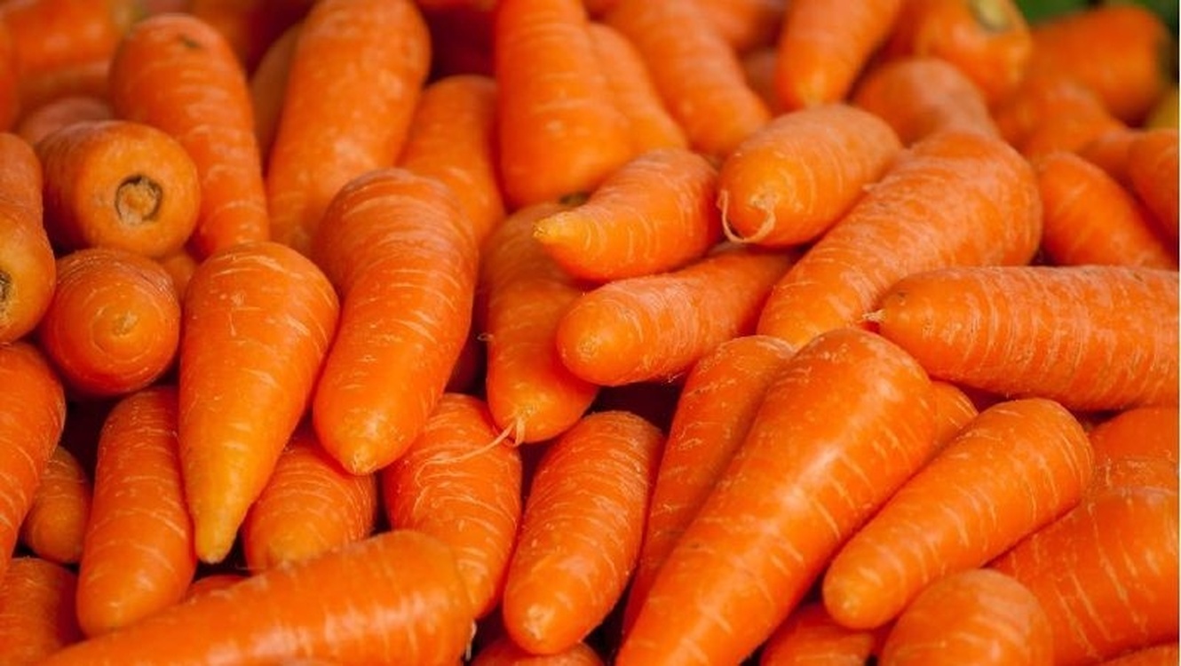 В Казахстане введен запрет на вывоз картофеля и моркови — Today.kg