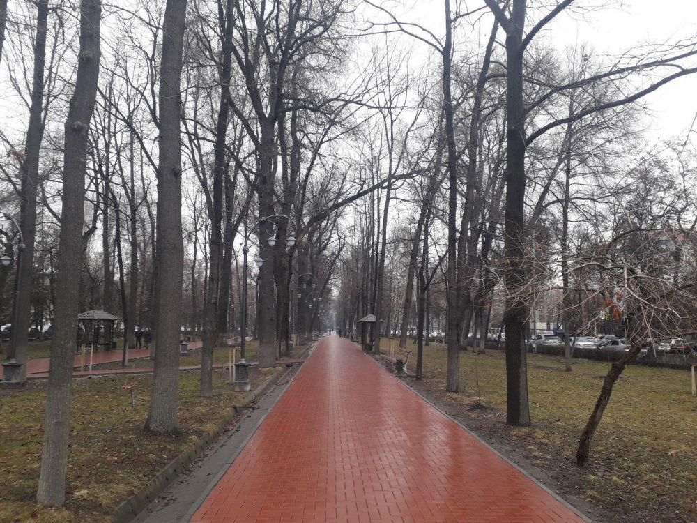 Погода на 19 февраля  в Бишкеке — Today.kg