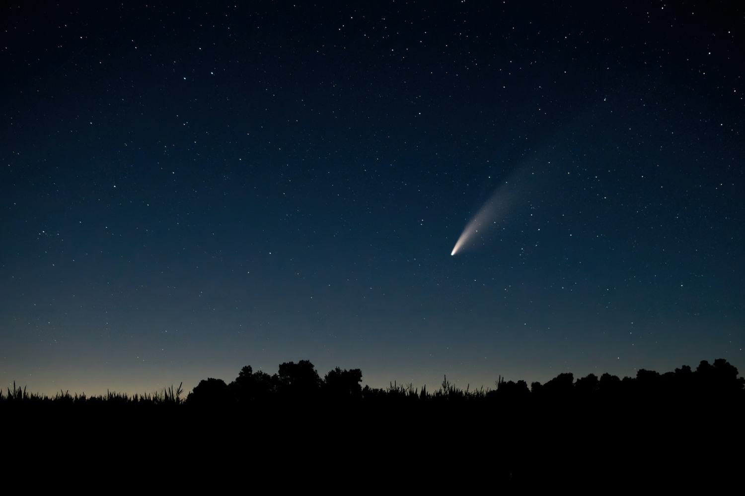 К Земле приближается комета. Ее можно будет увидеть невооруженным глазом — Today.kg