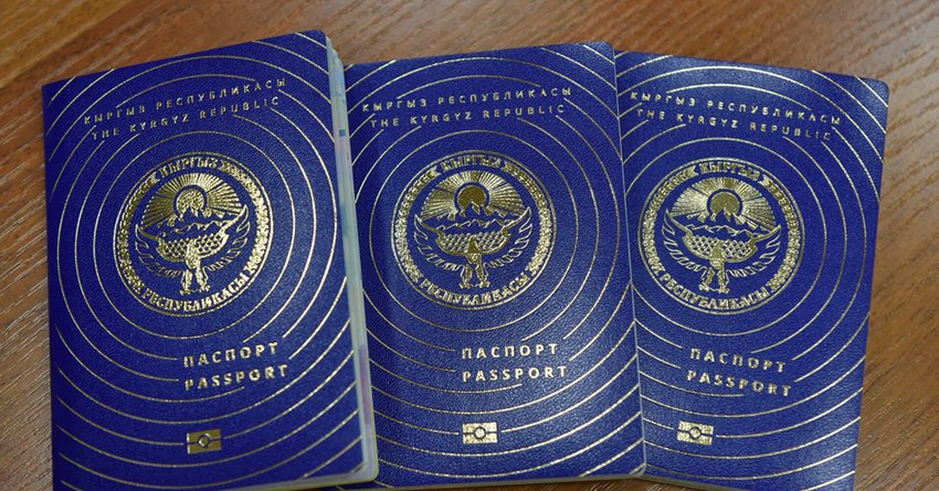 Кыргызстан занял 76-е место в Глобальном индексе паспортов — Today.kg