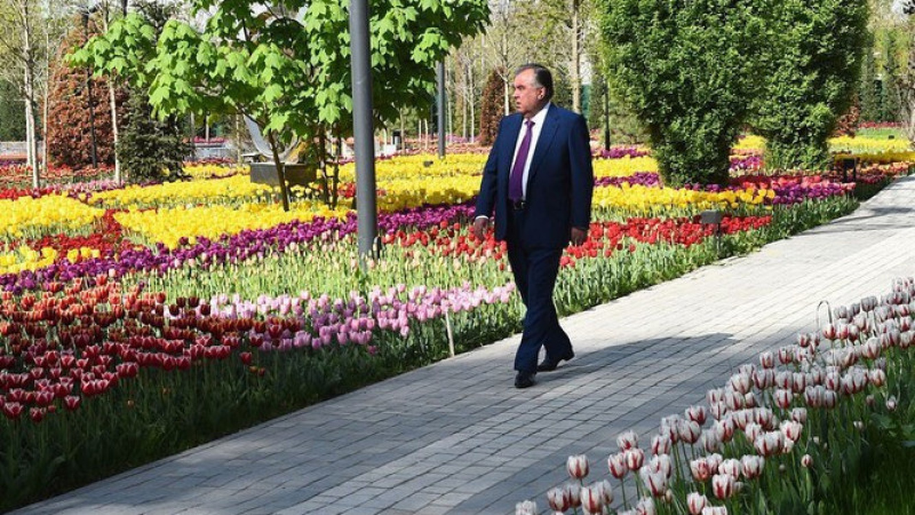 Обнародованы видеокадры покушения на президента Таджикистана — Today.kg