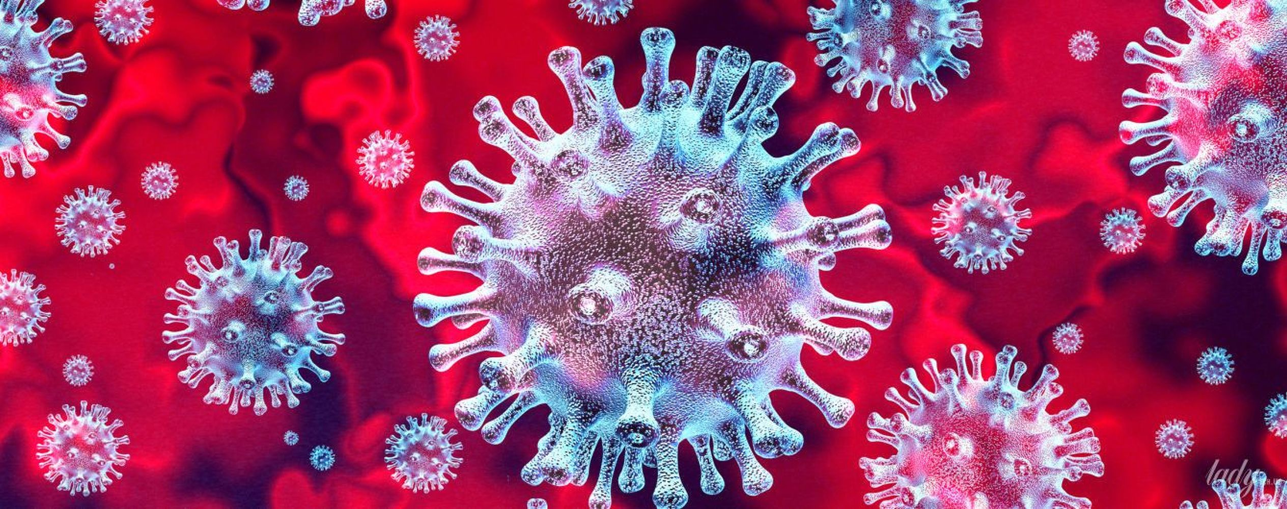 Китайский врач еще в декабре заметил коронавирус, его обязали молчать — Today.kg