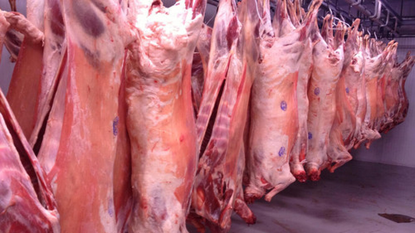 Кыргызстан может стать региональным хабом халал-индустрии для последующего экспорта мяса в арабские страны, - Минсельхоз — Today.kg