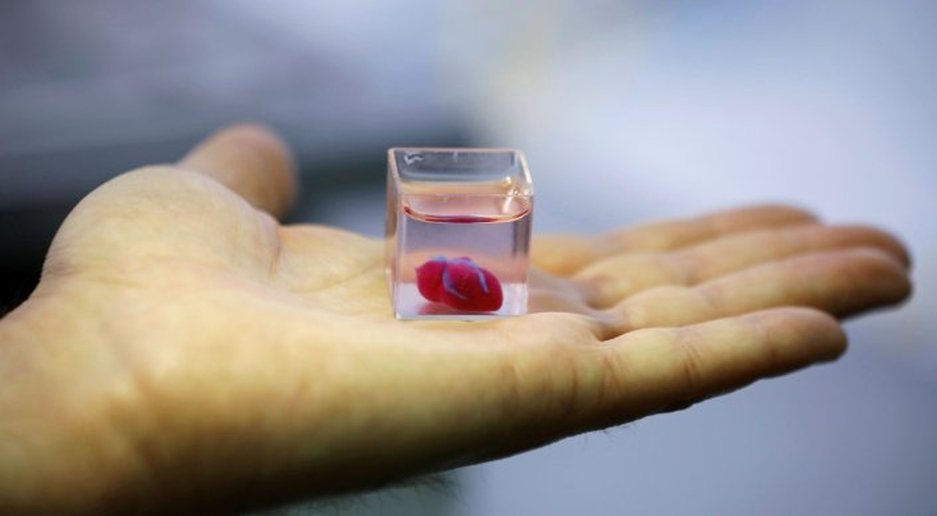 Живое сердце впервые напечатали на 3D-принтере в Израиле — Today.kg