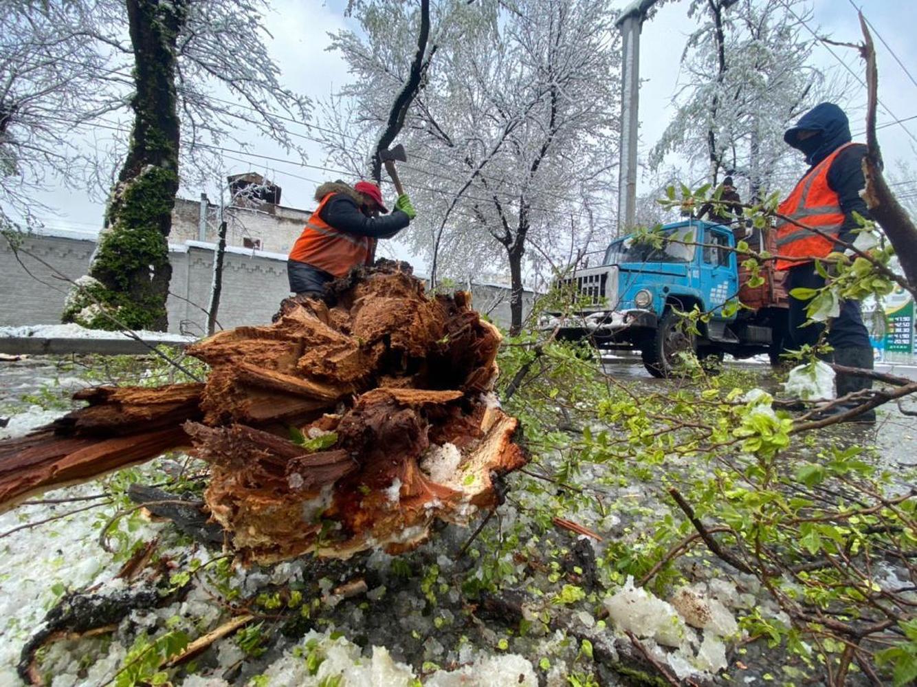 Мэрия Бишкека продолжает устранять последствия вчерашнего снегопада — Today.kg