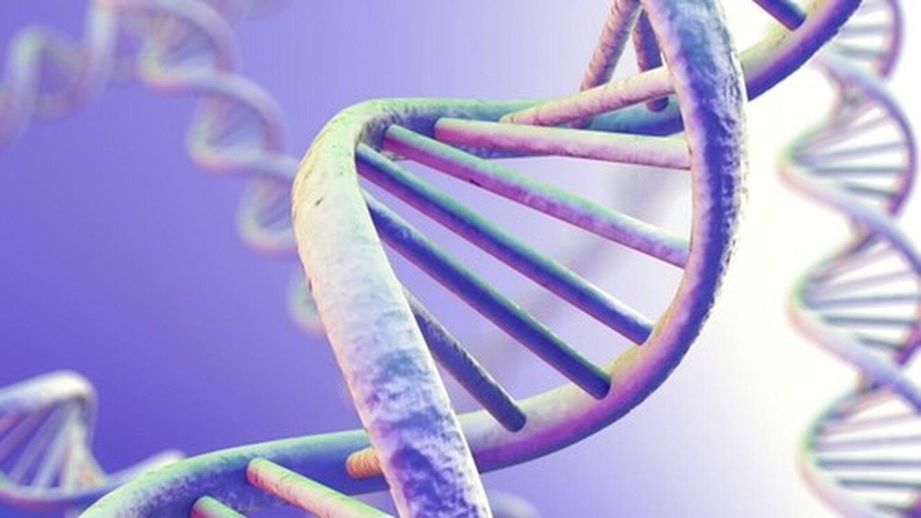 Ученые нашли способ сохранить информацию напрямую в ДНК — Today.kg
