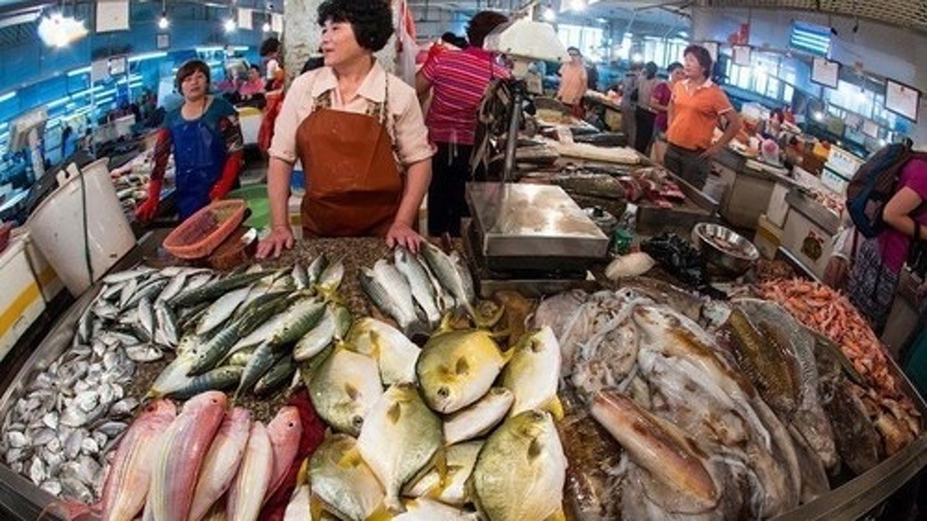 Самый большой маркет. Ухань Китай рыбный рынок. Рынок морепродуктов в Ухане. Оптовый рынок морепродуктов Хуанань.