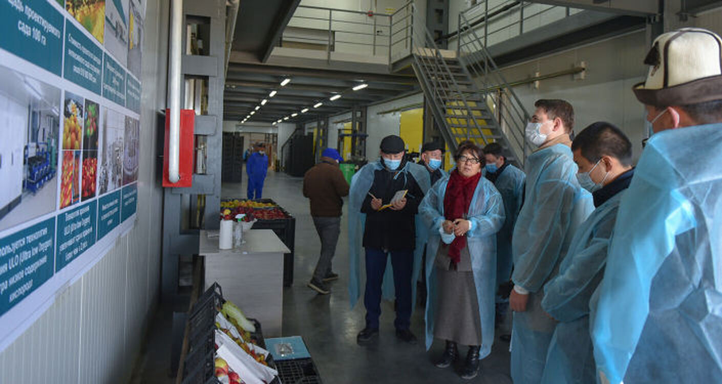 В Иссык-Кульской области строят мясокомбинат мощностью до 200 тонн в сутки — Today.kg