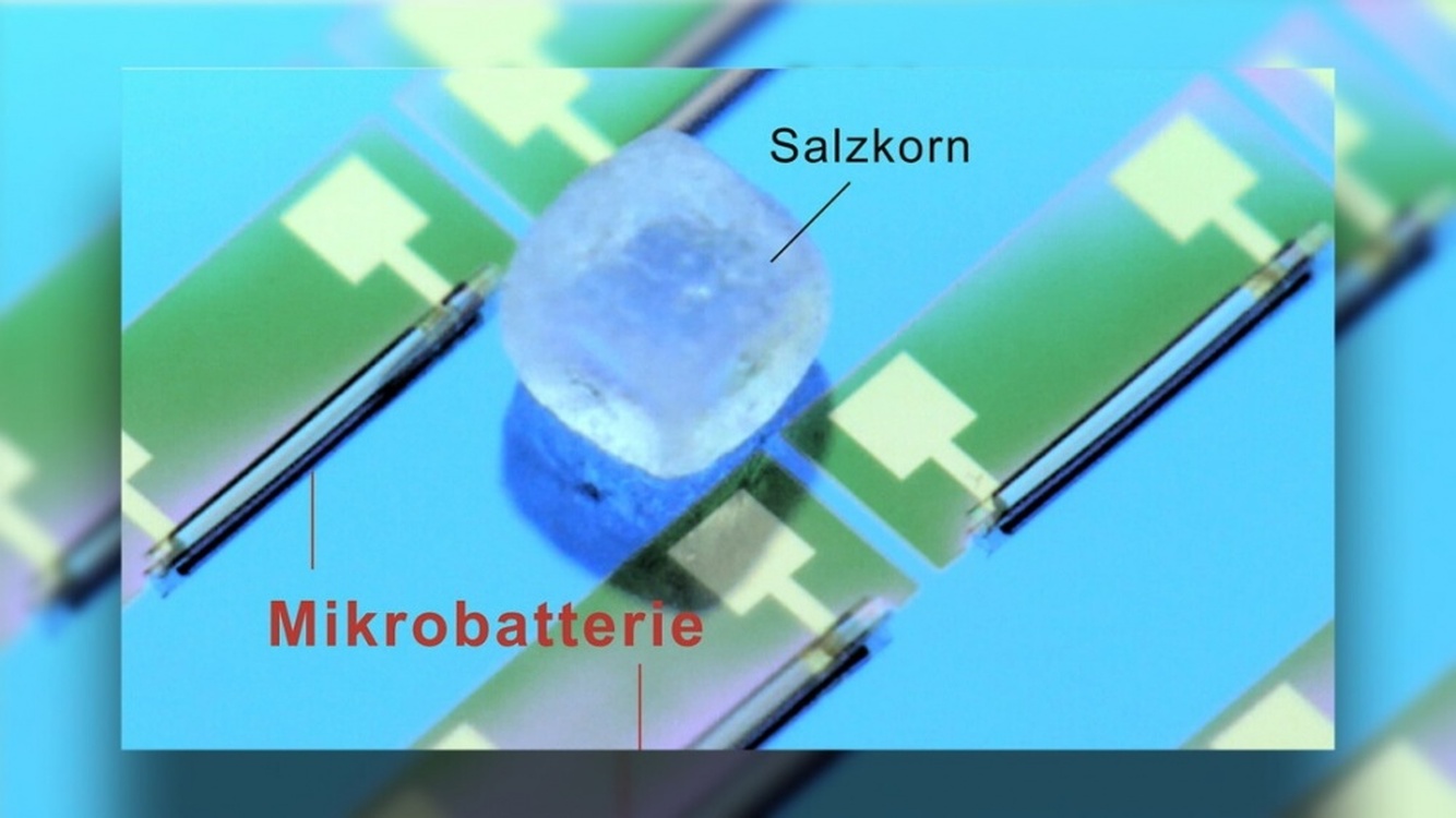 Батарейку размером с крупицу соли создали немецкие ученые — Today.kg