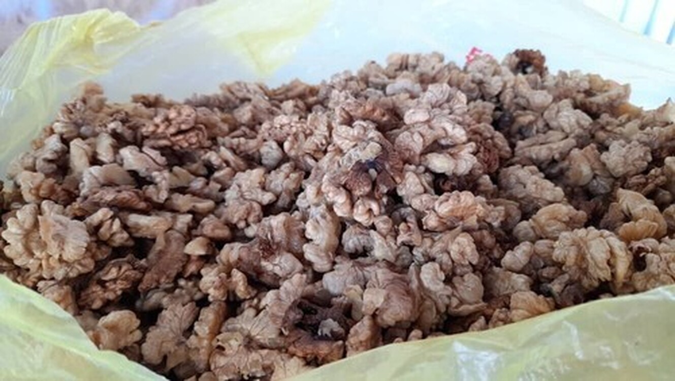 В Оренбургскую область не допущено к ввозу 40 тонн грецких орехов из Кыргызстана — Today.kg