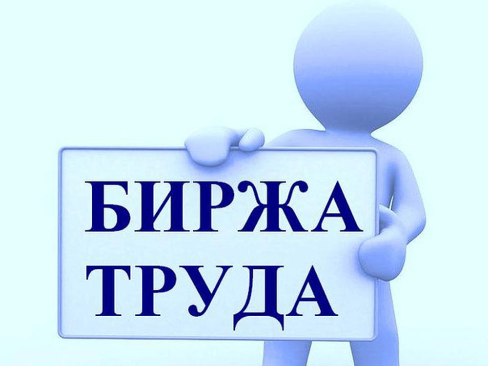 В Кыргызстане внедрят электронную биржу труда — Today.kg