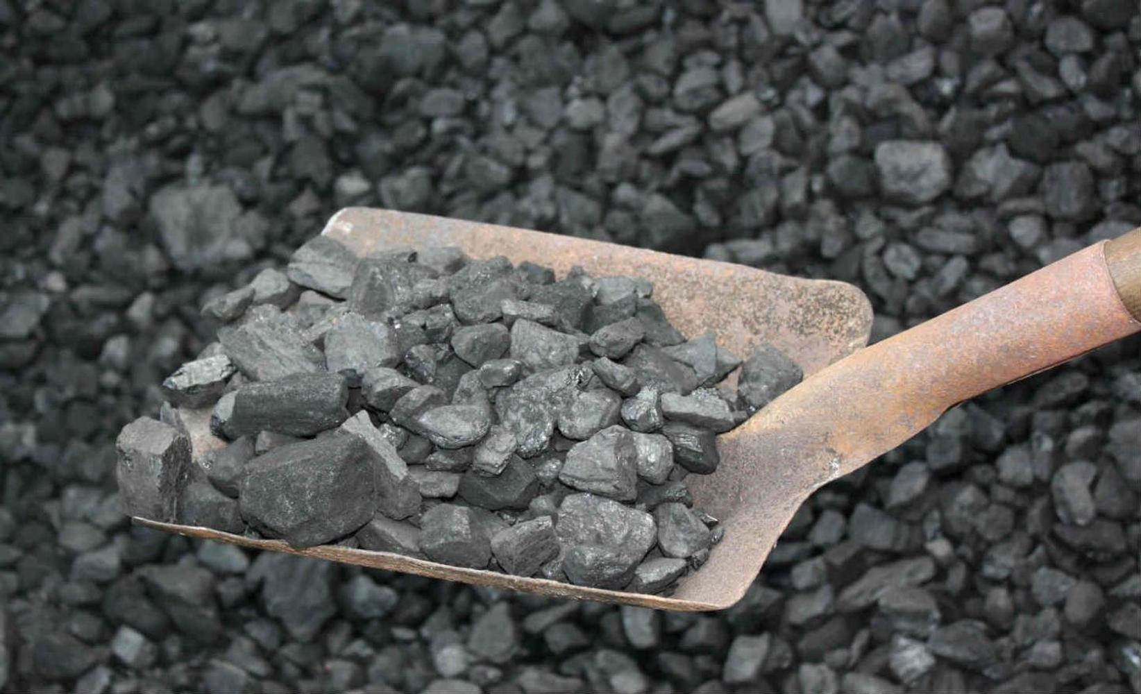 Где можно купить уголь в Бишкеке, рассказали в мэрии — Today.kg