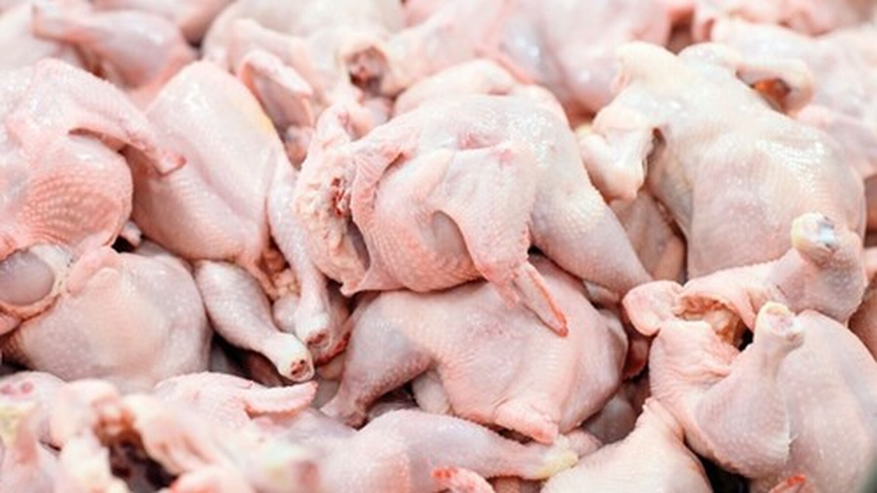 Кыргызстан увеличил импорт курятины из Китая в 8 раз в 2022 году — Today.kg