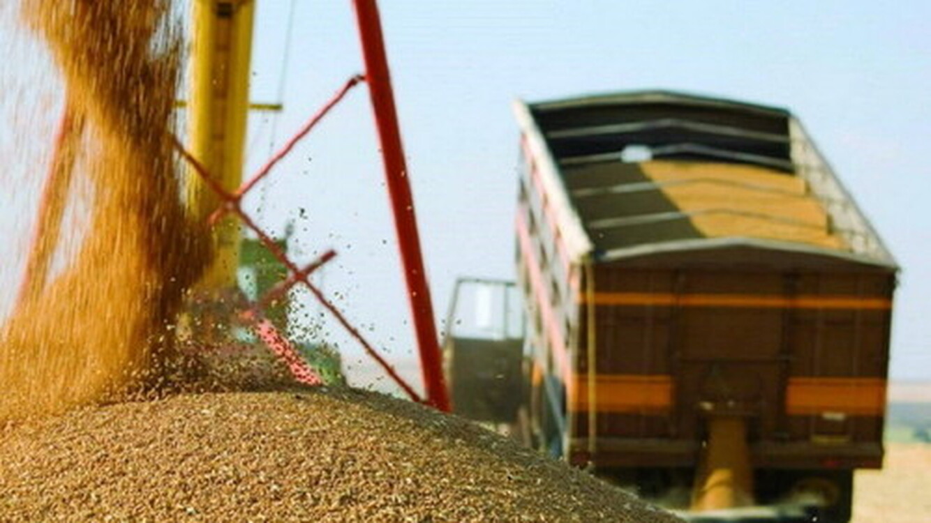 Китай ограничил прием зерна из Казахстана до одного ж/д состава в сутки — Today.kg