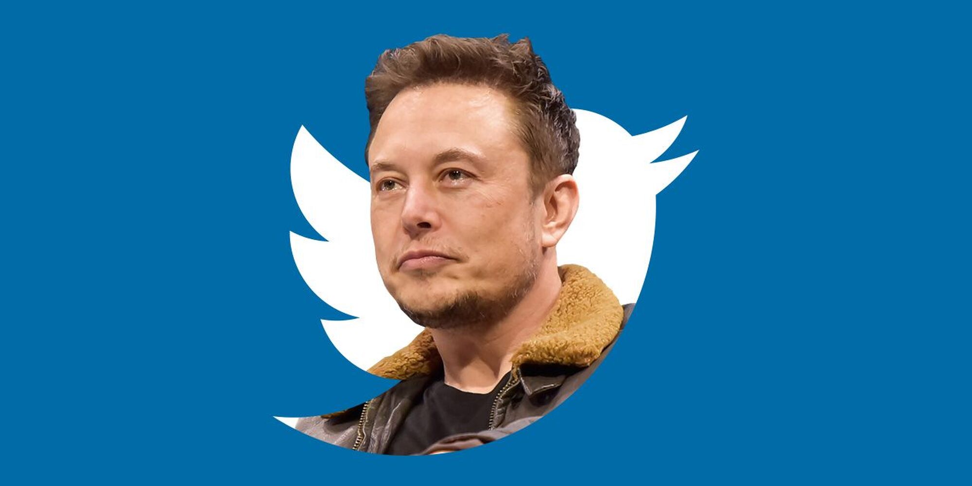 Маска купил твиттер. Илон Маск twitter. Elon Musk Твиттер. Твиттер Илон. Твиттер маска.