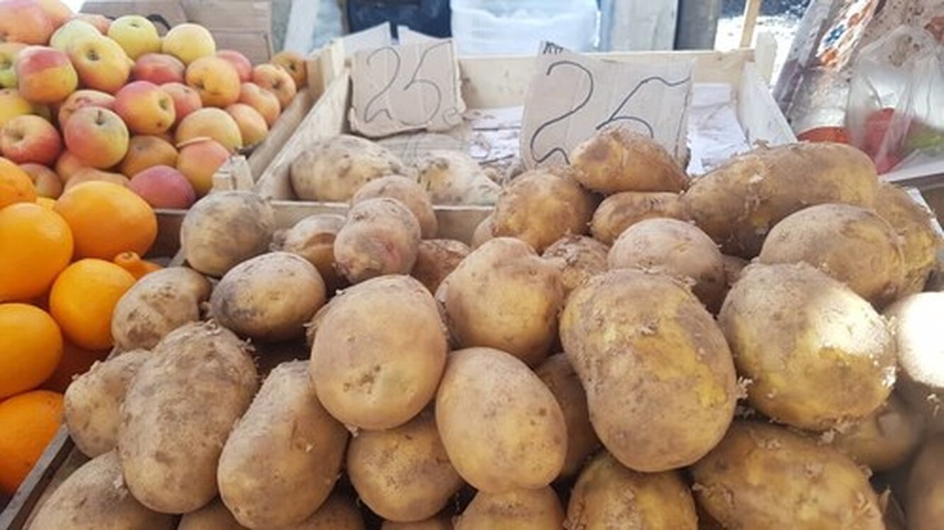 Из 9 продуктов мы обеспечиваем себя только картошкой и растительной продукцией, - экономист о продбезопасности — Today.kg