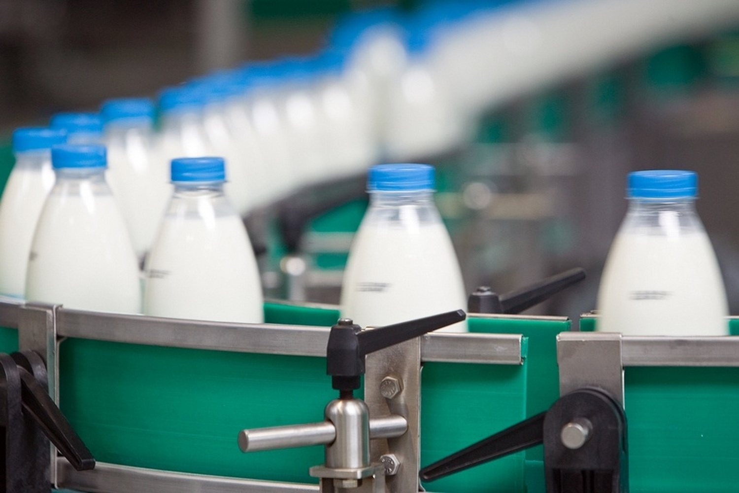 За 5 месяцев в КР произведено 560 тыс. тонн молока, - статистика — Today.kg