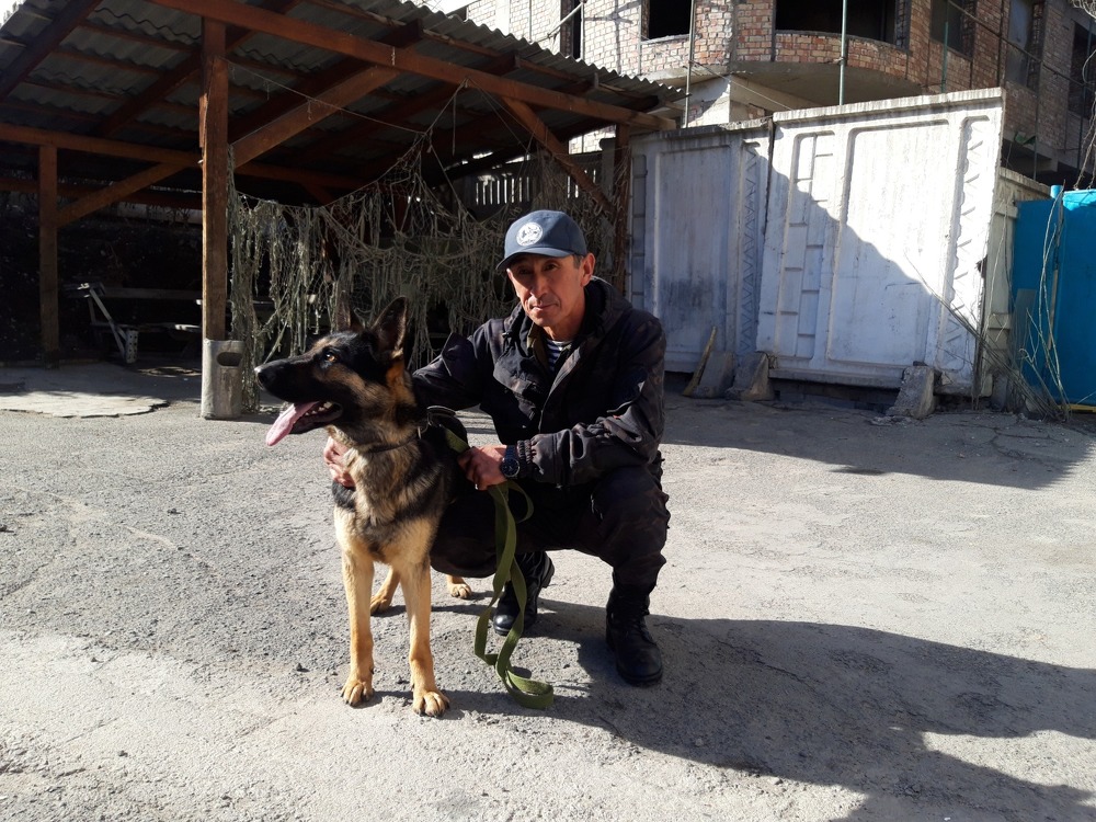 Овчарка Чили будет помогать ловить браконьеров в Иссык-Кульской области — Today.kg