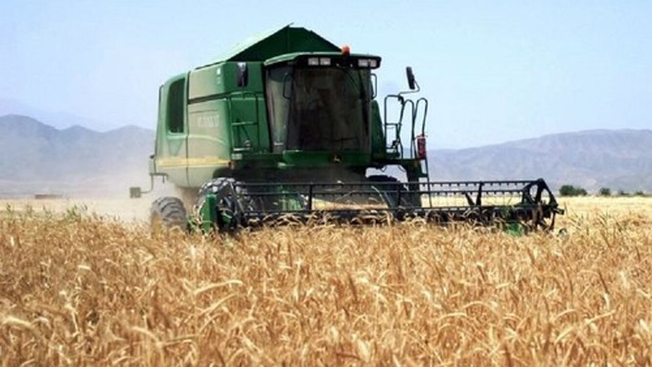 Кыргызстан увеличил импорт российской пшеницы в 2,3 раза в январе-августе  — Today.kg