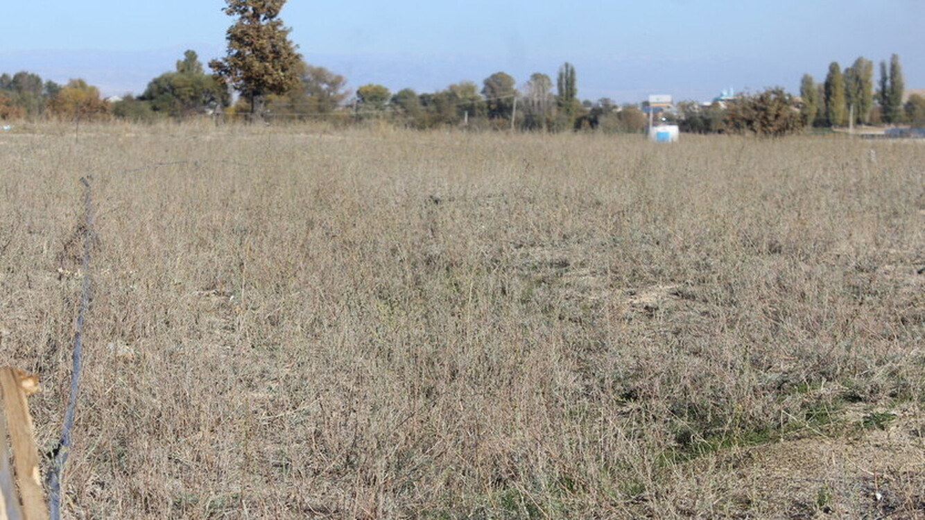 В ЖК предлагают легализовать самозахваченные земли в городах Бишкек и Ош — Today.kg
