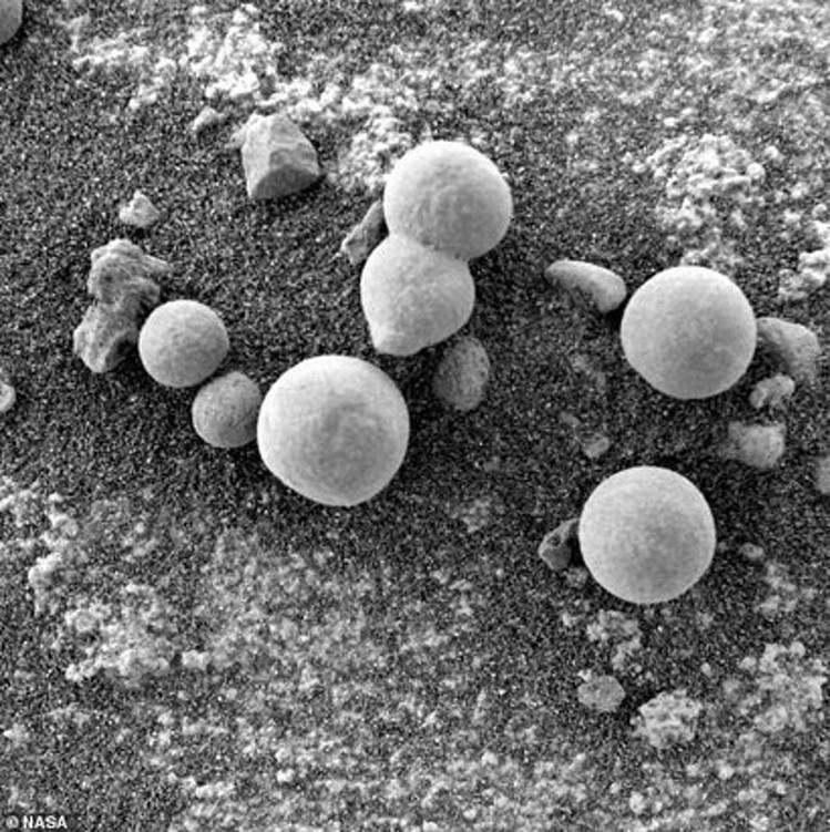 Марсианские грибы: необычная находка марсохода Curiosity — Today.kg