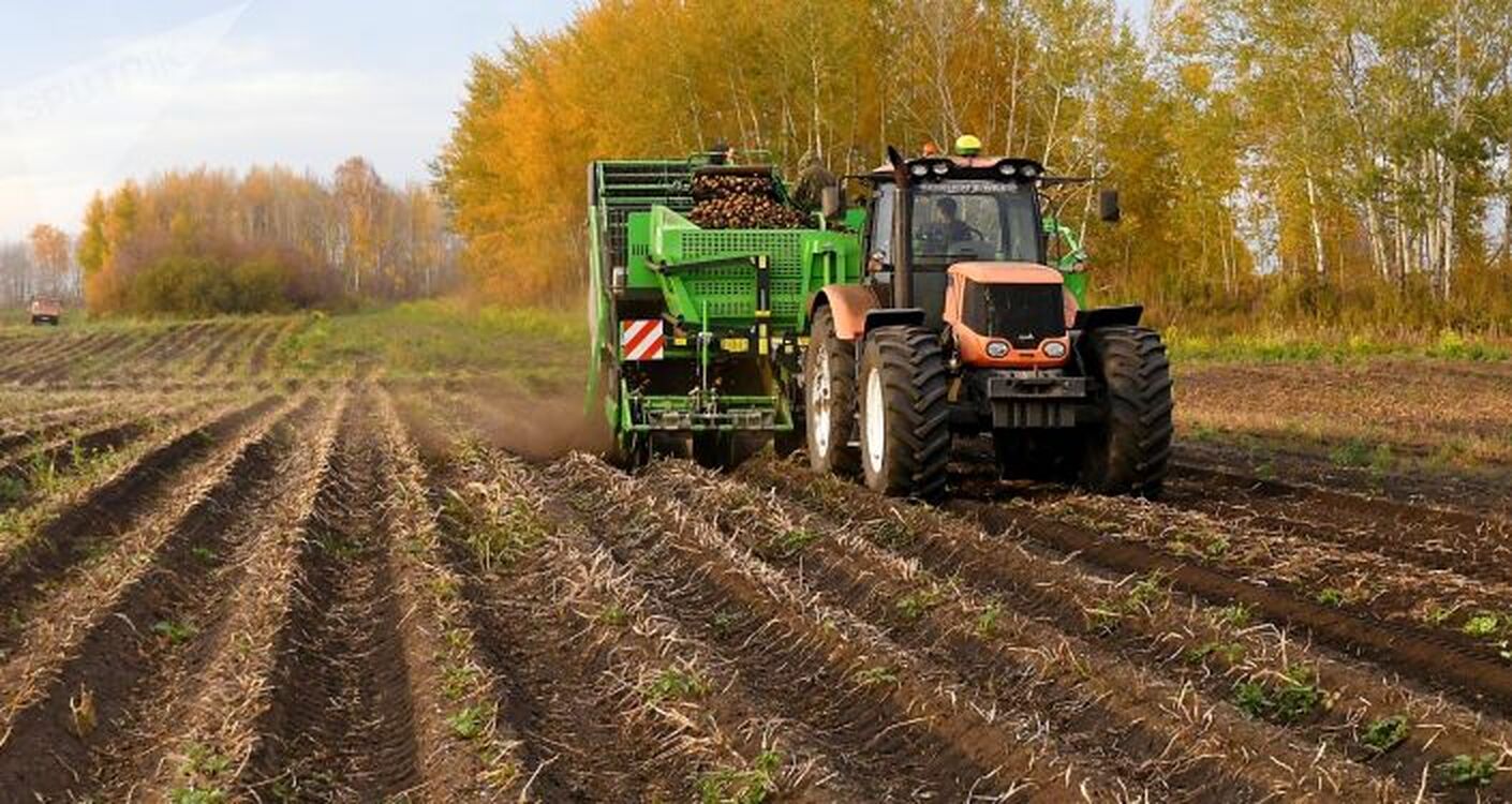Фермеры обратились к Жапарову в связи с неурожайным годом — о чем просят — Today.kg