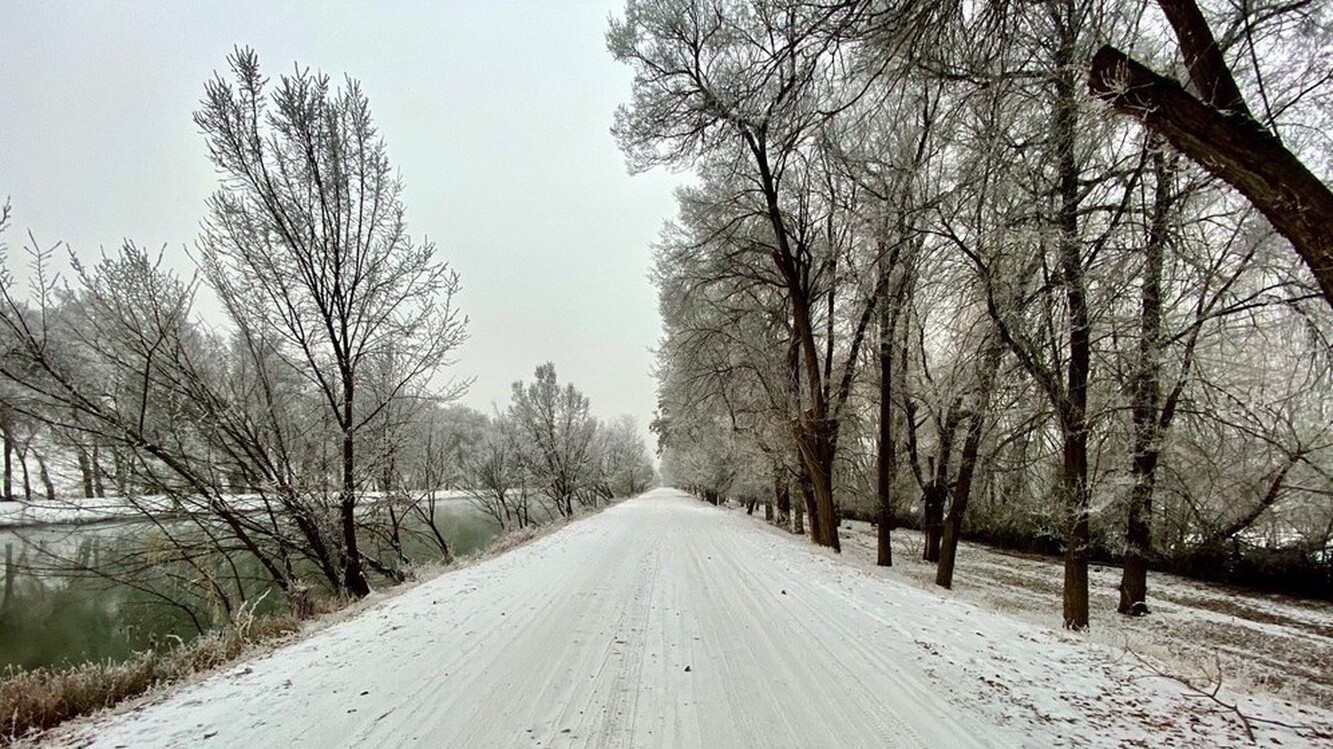 В Бишкеке ночью и утром снег — прогноз погоды на 8 января — Today.kg