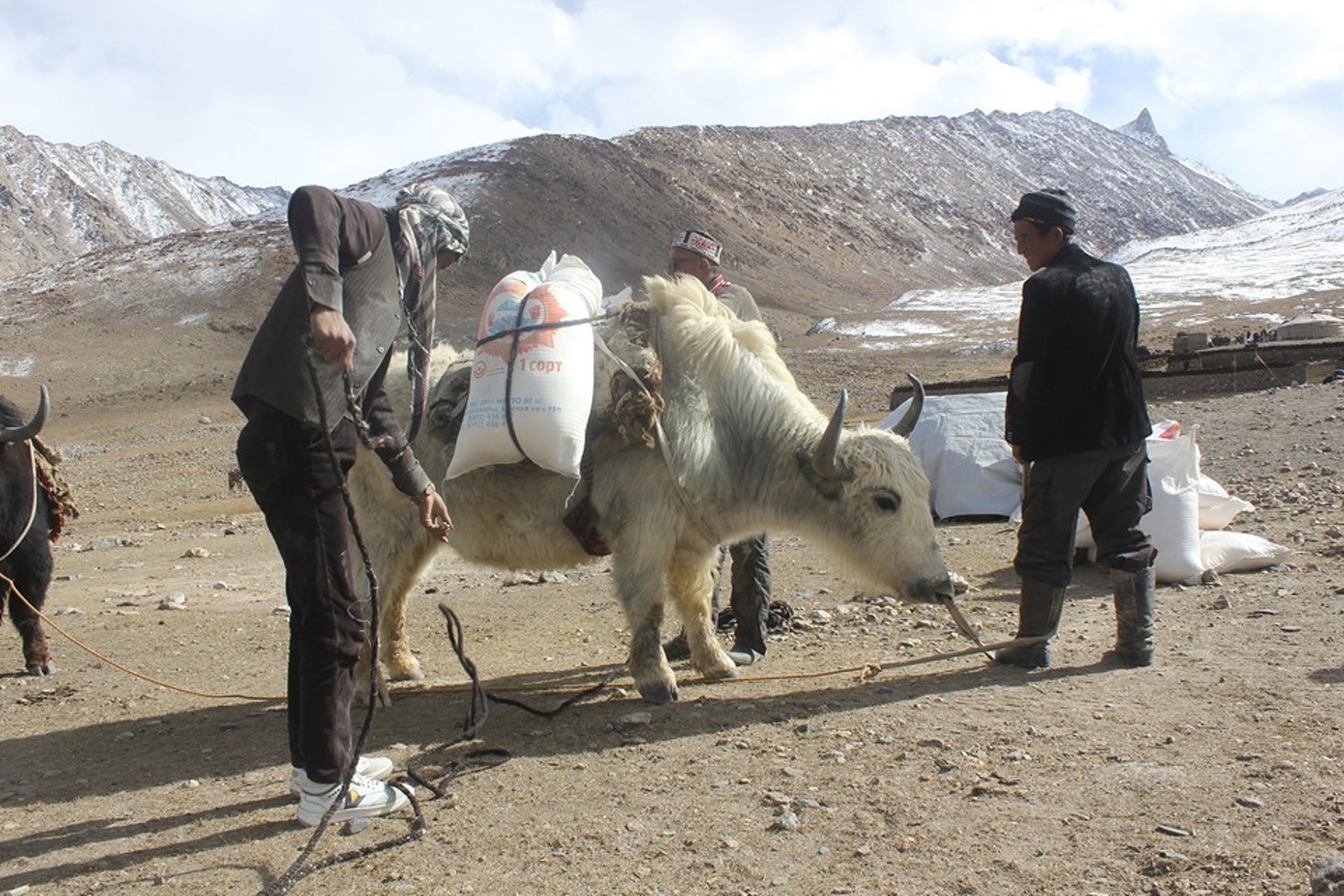 Фото - Правительство отправило кыргызам на Малом и Большом Памире 70 тонн гумпомощи — Today.kg