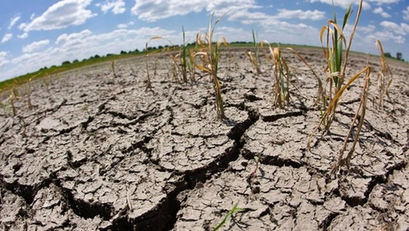 В Казахстане ожидается засуха в ряде районов — Today.kg