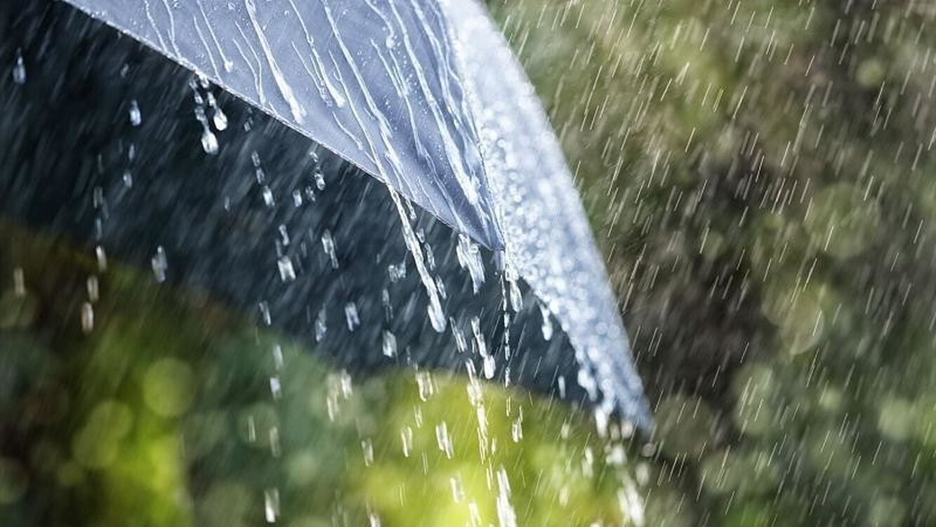 В Бишкеке дожди и грозы — прогноз погоды на 15 августа — Today.kg