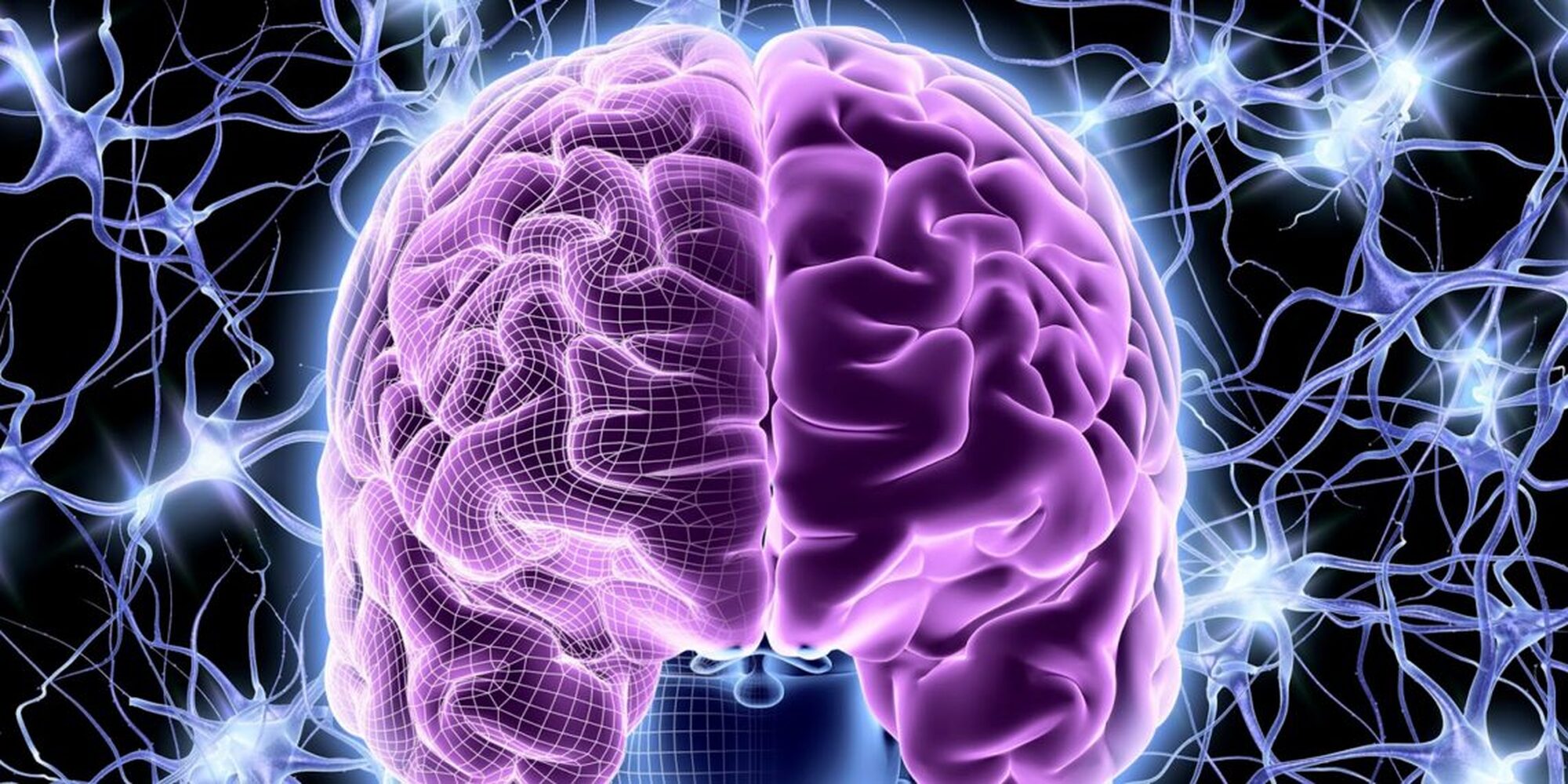 Ученые нашли неизвестный ранее способ омоложения мозга — Today.kg