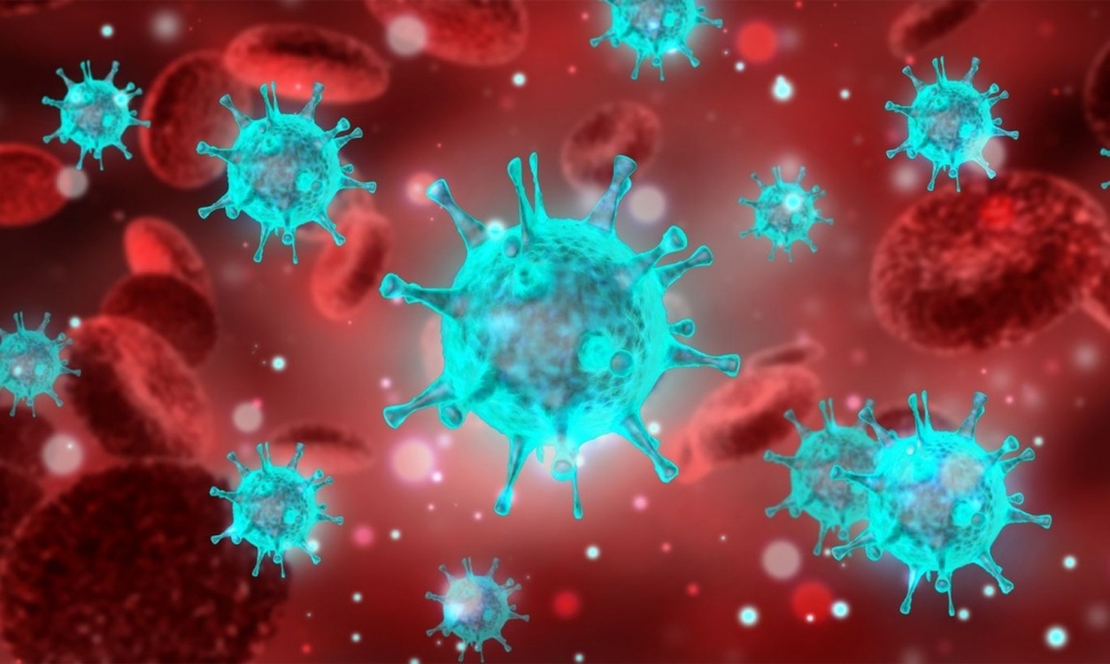 Вирус гриппа атакует клетку