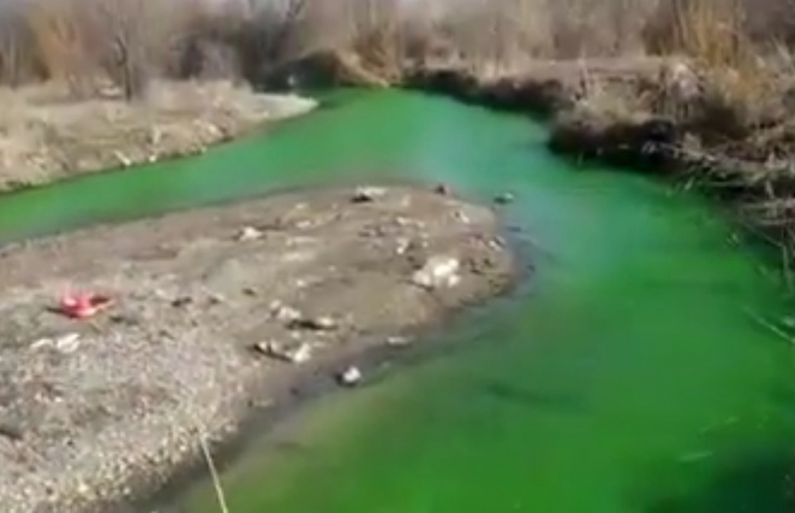 Вода в реке Аламедин стала ядовито-зеленой. Комиссия изучает причины — Today.kg