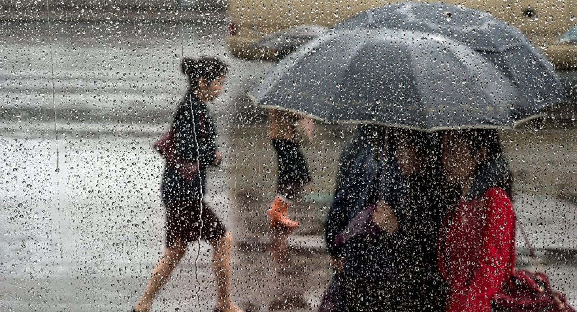 Дождь и гроза — погода в Бишкеке 2 июня — Today.kg