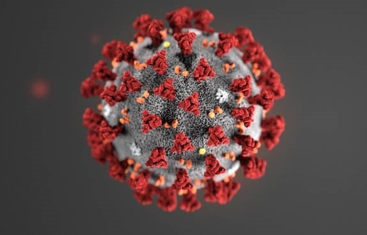 Ученые обнаружили опасную мутацию коронавируса — Today.kg