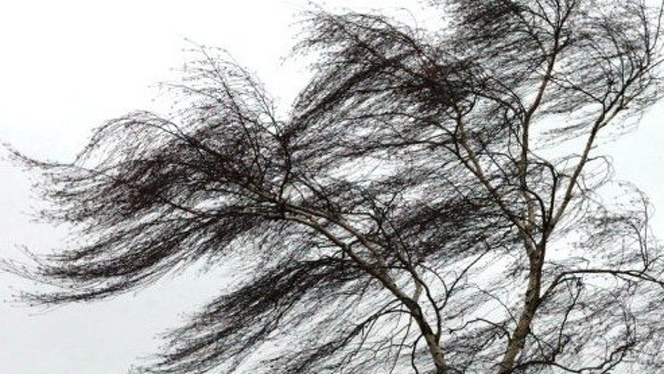 Штормовое предупреждение. В ближайший час и вечером в Бишкеке и Чуйской области ожидается сильный ветер — Today.kg
